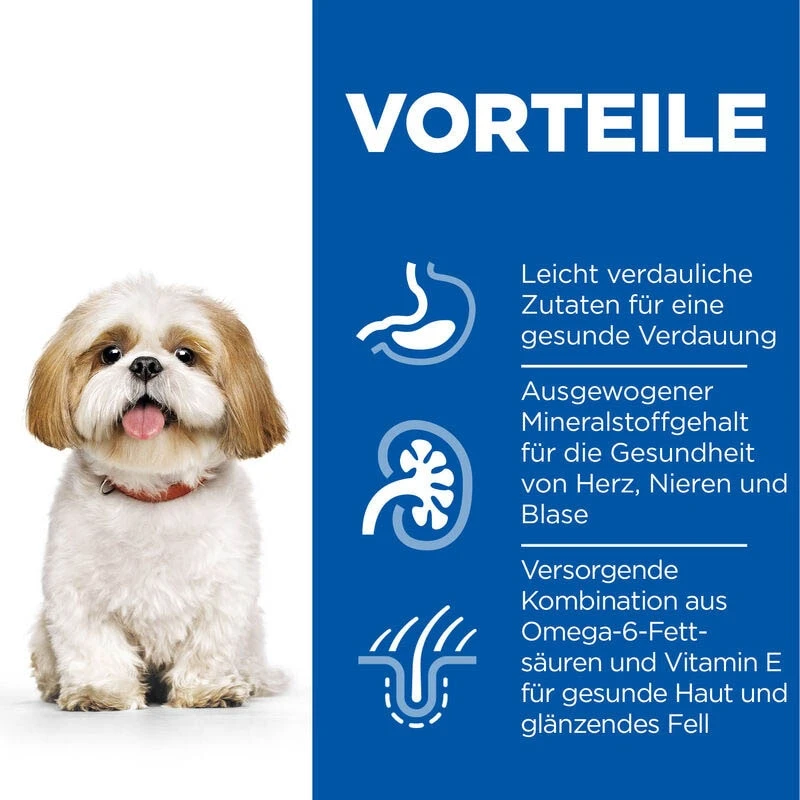 Hills Science Plan Mature Adult 7+ Small & Mini Trockenfutter Für Kleine Hunde Mit Huhn 5 Hills Science Plan Mature Adult 7+ Small & Mini Trockenfutter Für Kleine Hunde Mit Huhn – Bild 3