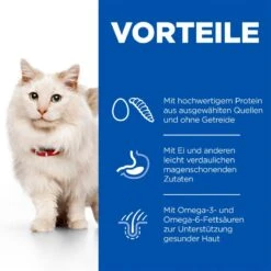 Hills Science Plan Hypoallergenic Adult Katzenfutter Mit Ei Und Insektenprotein 8 Hills Science Plan Hypoallergenic Adult Katzenfutter Mit Ei Und Insektenprotein -Haustier Alles Verkaufsgeschäft 0060293 hills science plan hypoallergenic adult katzenfutter mit ei und insektenprotein