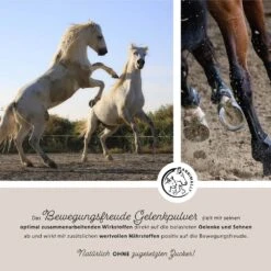 Annimally Bewegungsfreude Pulver -Haustier Alles Verkaufsgeschäft 0060518 annimally bewegungsfreude pulver