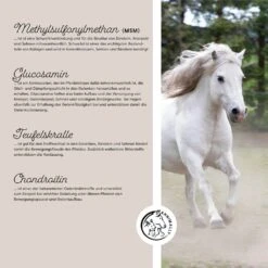 Annimally Bewegungsfreude Pulver -Haustier Alles Verkaufsgeschäft 0060519 annimally bewegungsfreude pulver