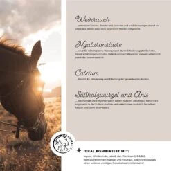 Annimally Bewegungsfreude Pulver -Haustier Alles Verkaufsgeschäft 0060520 annimally bewegungsfreude pulver