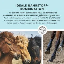 Annimally Biotin Liquid -Haustier Alles Verkaufsgeschäft 0060529 annimally biotin liquid