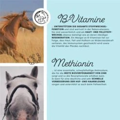 Annimally Biotin Liquid -Haustier Alles Verkaufsgeschäft 0060533 annimally biotin liquid