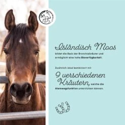 Annimally Bronchial Liquid -Haustier Alles Verkaufsgeschäft 0060546 annimally bronchial liquid