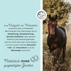 Annimally Bronchial Liquid -Haustier Alles Verkaufsgeschäft 0060547 annimally bronchial liquid