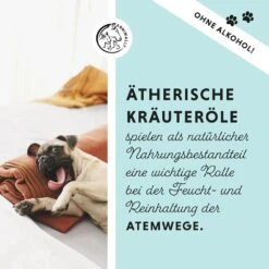 Annimally Bronchial Plus -Haustier Alles Verkaufsgeschäft 0060565 annimally bronchial plus