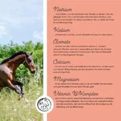 Annimally Elektrolyte Liquid 12 Annimally Elektrolyte Liquid -Haustier Alles Verkaufsgeschäft 0060610 annimally elektrolyte liquid