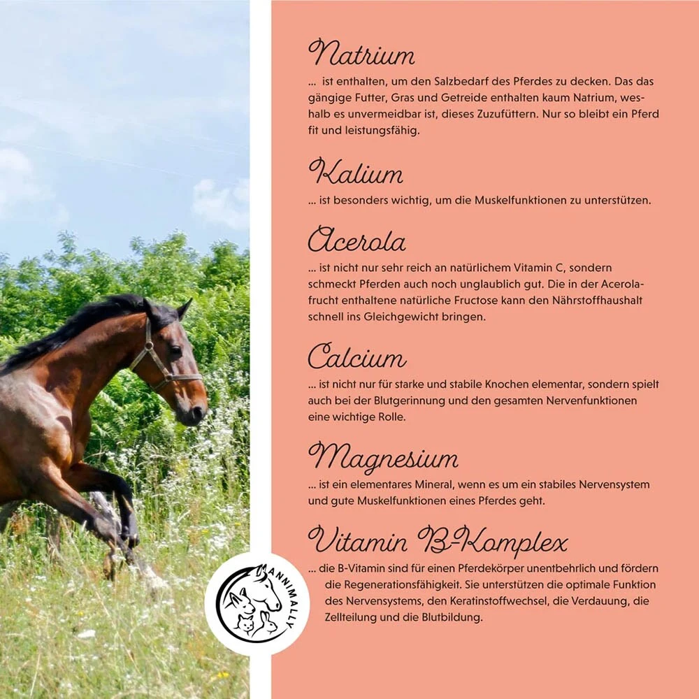 Annimally Elektrolyte Liquid 7 Annimally Elektrolyte Liquid – Bild 5