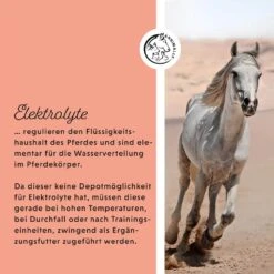 Annimally Elektrolyte Liquid 11 Annimally Elektrolyte Liquid -Haustier Alles Verkaufsgeschäft 0060615 annimally elektrolyte liquid