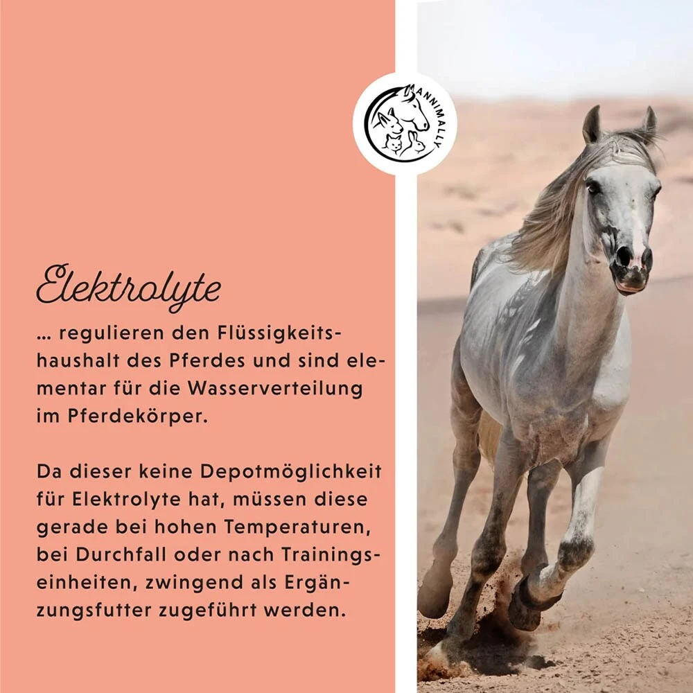 Annimally Elektrolyte Liquid 6 Annimally Elektrolyte Liquid – Bild 4