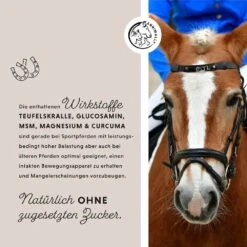 Annimally Gelenk Liquid -Haustier Alles Verkaufsgeschäft 0060625 annimally gelenk liquid