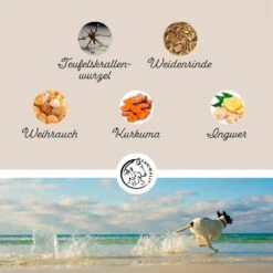 Annimally Gelenkpulver -Haustier Alles Verkaufsgeschäft 0060632 annimally gelenkpulver