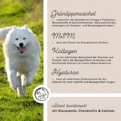 Annimally Gelenkpulver -Haustier Alles Verkaufsgeschäft 0060634 annimally gelenkpulver