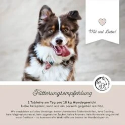 Annimally Gelenktabletten -Haustier Alles Verkaufsgeschäft 0060635 annimally gelenktabletten