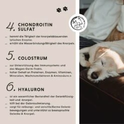 Annimally Gelenktabletten -Haustier Alles Verkaufsgeschäft 0060638 annimally gelenktabletten