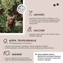 Annimally Gelenktabletten -Haustier Alles Verkaufsgeschäft 0060639 annimally gelenktabletten