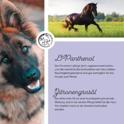 Annimally Hair Care Pro -Haustier Alles Verkaufsgeschäft 0060644 annimally hair care pro