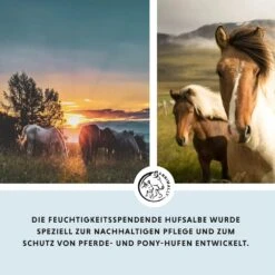 Annimally Hufsalbe Exklusiv -Haustier Alles Verkaufsgeschäft 0060660 annimally hufsalbe exklusiv