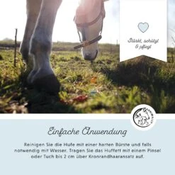 Annimally Hufsalbe Exklusiv -Haustier Alles Verkaufsgeschäft 0060661 annimally hufsalbe exklusiv