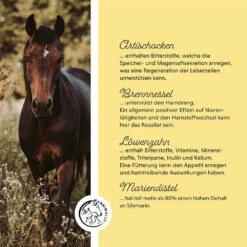 Annimally Leber-Nieren Liquid 11 Annimally Leber-Nieren Liquid -Haustier Alles Verkaufsgeschäft 0060703 annimally leber nieren liquid