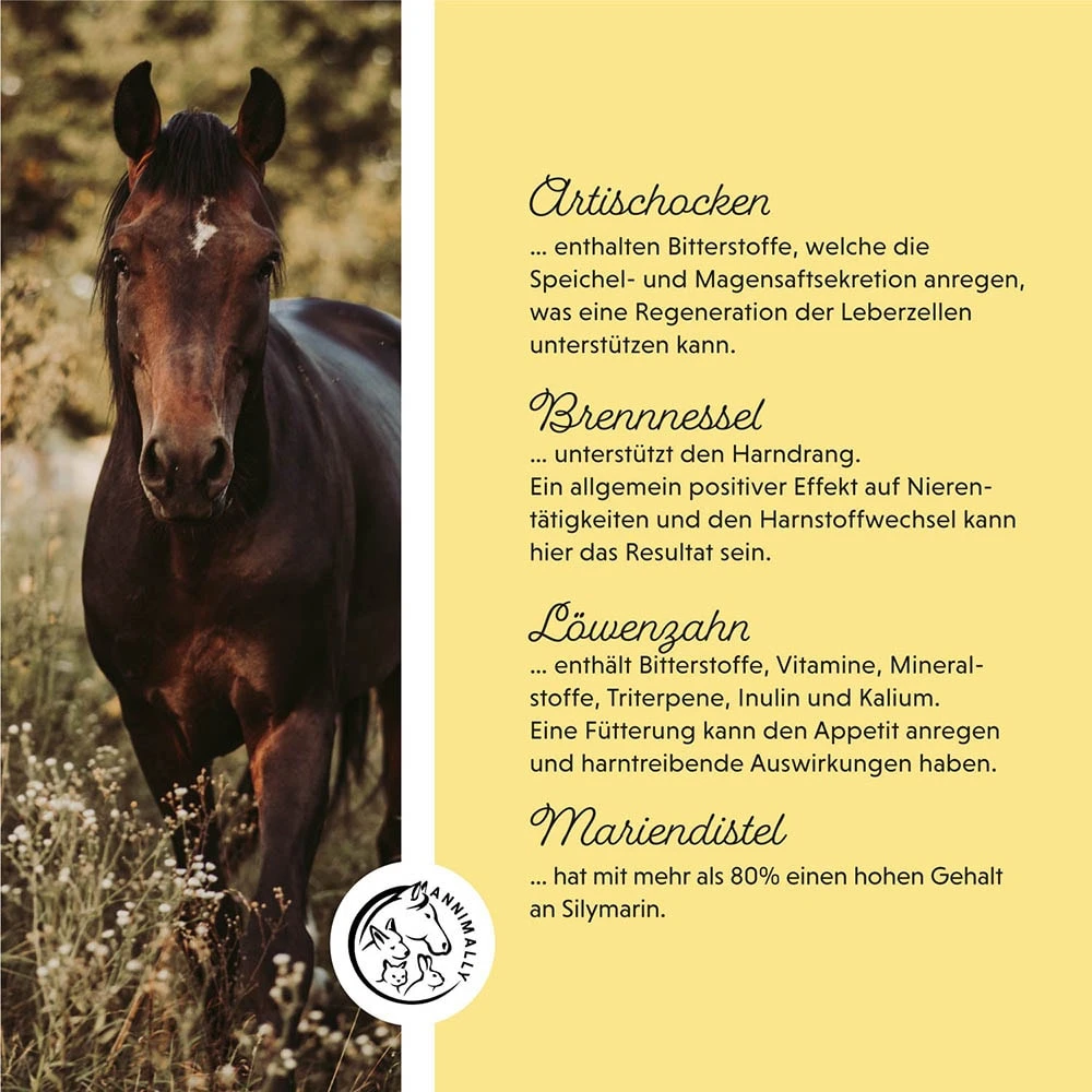 Annimally Leber-Nieren Liquid 6 Annimally Leber-Nieren Liquid – Bild 4