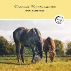 Annimally Leber-Nieren Liquid 10 Annimally Leber-Nieren Liquid -Haustier Alles Verkaufsgeschäft 0060705 annimally leber nieren liquid