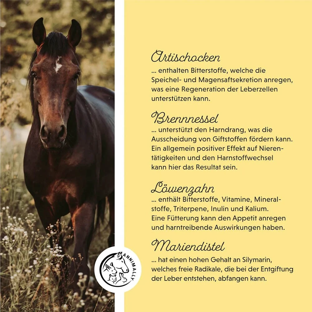 Annimally Leber-Nieren Liquid 7 Annimally Leber-Nieren Liquid – Bild 5