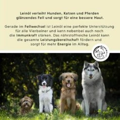 Annimally Leinöl -Haustier Alles Verkaufsgeschäft 0060711 annimally leinol