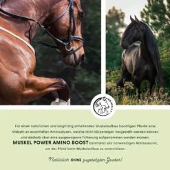 Annimally Muskelpower Pulver -Haustier Alles Verkaufsgeschäft 0060779 annimally muskelpower pulver