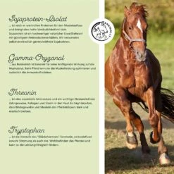 Annimally Muskelpower Pulver -Haustier Alles Verkaufsgeschäft 0060780 annimally muskelpower pulver