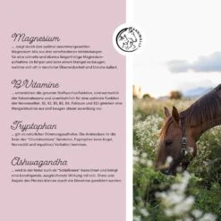 Annimally Nervenstärke Relax Pulver -Haustier Alles Verkaufsgeschäft 0060781 annimally nervenstarke relax pulver