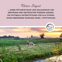 Annimally Relax Liquid -Haustier Alles Verkaufsgeschäft 0060821 annimally relax liquid