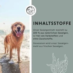 Annimally Seealgenmehl -Haustier Alles Verkaufsgeschäft 0060831 annimally seealgenmehl