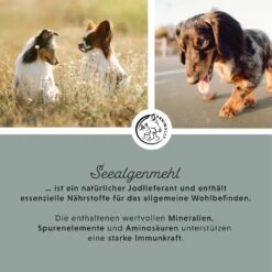 Annimally Seealgenmehl -Haustier Alles Verkaufsgeschäft 0060832 annimally seealgenmehl