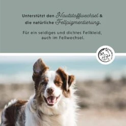 Annimally Seealgenmehl -Haustier Alles Verkaufsgeschäft 0060833 annimally seealgenmehl