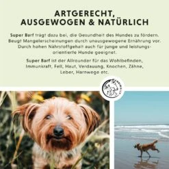 Annimally Super Barf -Haustier Alles Verkaufsgeschäft 0060859 annimally super barf