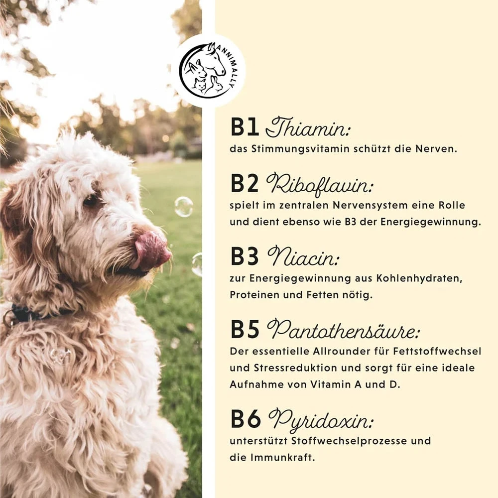 Annimally Vitamin B Komplex 6 Annimally Vitamin B Komplex – Bild 4