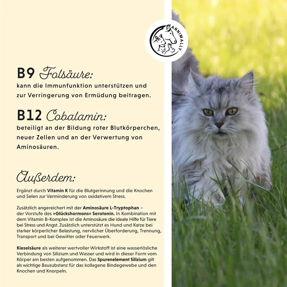 Annimally Vitamin B Komplex 7 Annimally Vitamin B Komplex – Bild 5