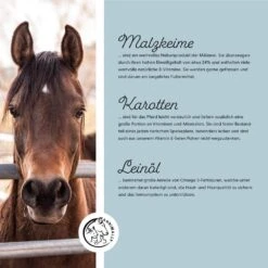 Annimally Vitamin E / Selen & Lysin -Haustier Alles Verkaufsgeschäft 0060890 annimally vitamin e selen lysin