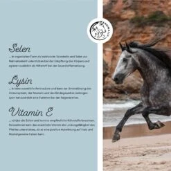 Annimally Vitamin E / Selen & Lysin -Haustier Alles Verkaufsgeschäft 0060891 annimally vitamin e selen lysin