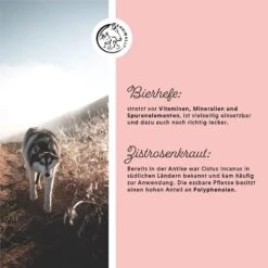 Annimally Zec McWeg -Haustier Alles Verkaufsgeschäft 0060897 annimally zec mcweg