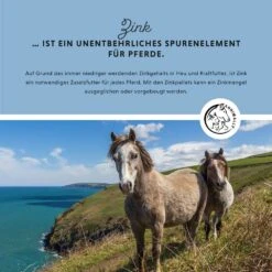 Annimally Zink Pellets -Haustier Alles Verkaufsgeschäft 0060908 annimally zink pellets