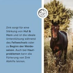 Annimally Zink Pellets -Haustier Alles Verkaufsgeschäft 0060909 annimally zink pellets