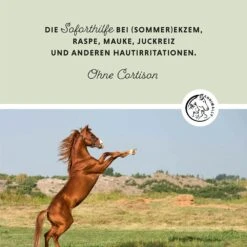 Annimally Ekzem Creme Plus -Haustier Alles Verkaufsgeschäft 0060913 annimally ekzem creme plus