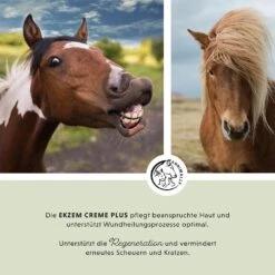 Annimally Ekzem Creme Plus -Haustier Alles Verkaufsgeschäft 0060917 annimally ekzem creme plus