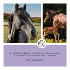 Annimally Mönchspfeffer Liquid -Haustier Alles Verkaufsgeschäft 0060919 annimally monchspfeffer liquid