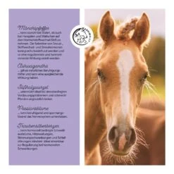 Annimally Mönchspfeffer Liquid -Haustier Alles Verkaufsgeschäft 0060920 annimally monchspfeffer liquid