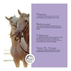 Annimally Mönchspfeffer Liquid -Haustier Alles Verkaufsgeschäft 0060922 annimally monchspfeffer liquid