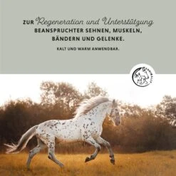 Annimally Tonerde Paste -Haustier Alles Verkaufsgeschäft 0061042 annimally tonerde paste