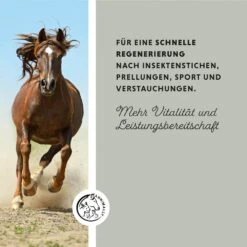 Annimally Tonerde Paste -Haustier Alles Verkaufsgeschäft 0061044 annimally tonerde paste